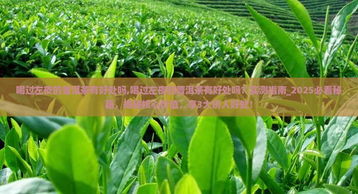 喝过左夜的普洱茶有好处吗