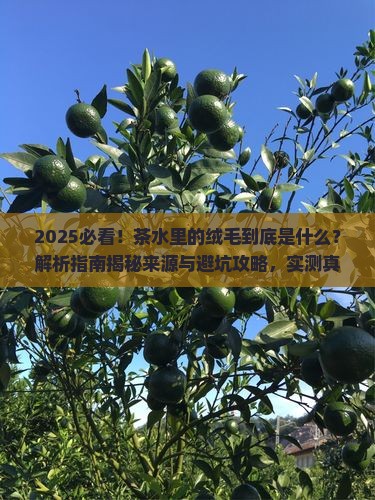 为什么茶水里有漂浮的绒毛