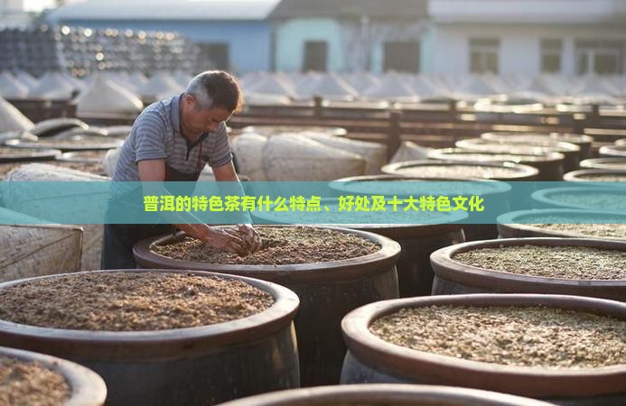 普洱的特色茶有什么
