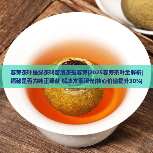 春芽茶叶是绿茶吗普洱茶报春芽