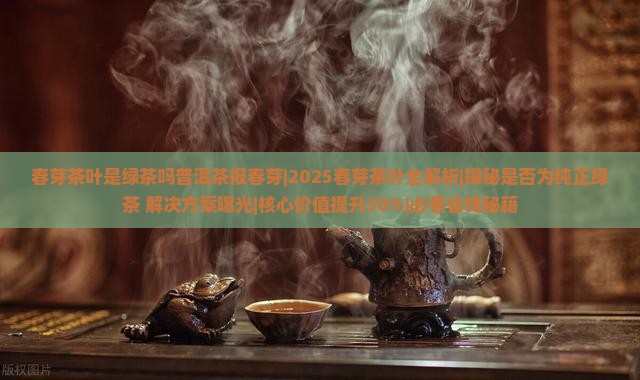 春芽茶叶是绿茶吗普洱茶报春芽