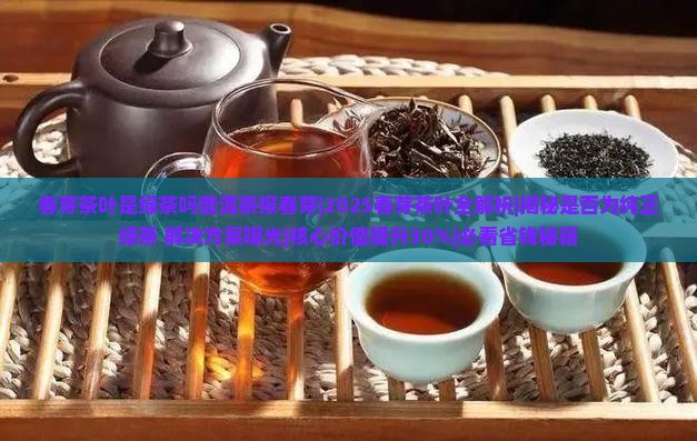 春芽茶叶是绿茶吗普洱茶报春芽