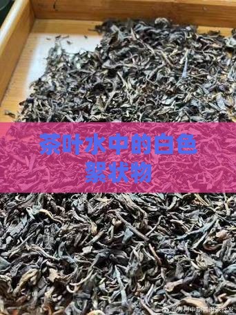 茶叶水中的白色絮状物