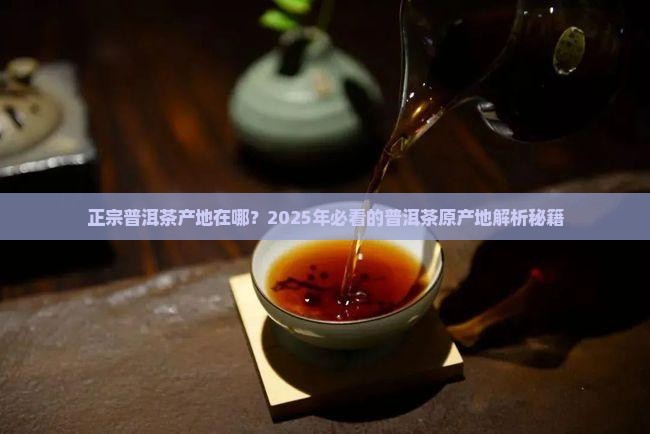 正宗普洱茶产地在哪