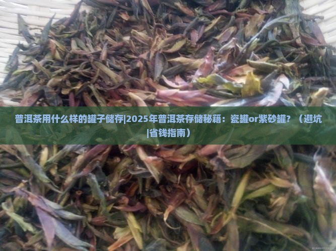 普洱茶用什么样的罐子储存