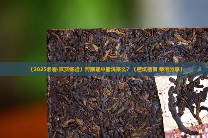 河南能中普洱茶么