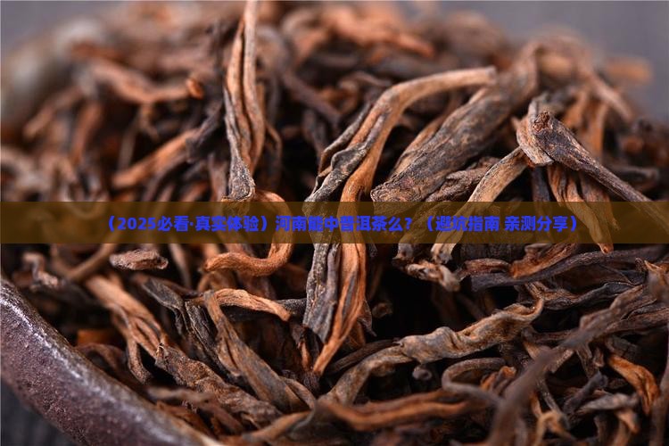 河南能中普洱茶么