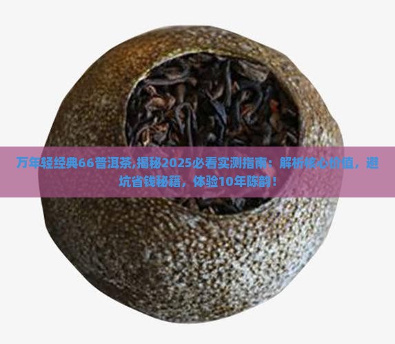 万年轻经典66普洱茶