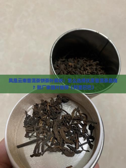 普凤凰云南普洱茶饼茶叶