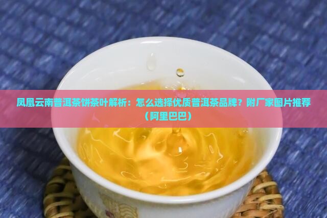 普凤凰云南普洱茶饼茶叶