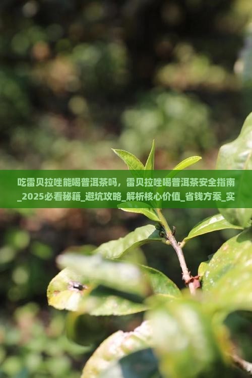 吃雷贝拉唑能喝普洱茶吗
