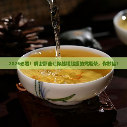 促进新陈代谢的茶有哪些
