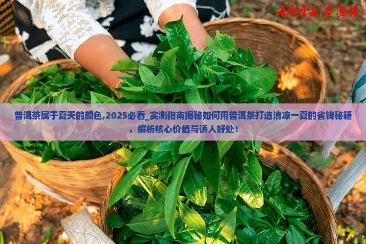 普洱茶属于夏天的颜色