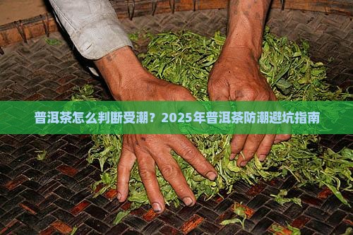 普洱茶怎么判断受潮