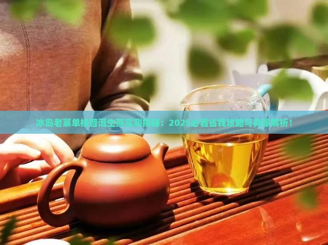 冰岛老寨单株普洱生茶