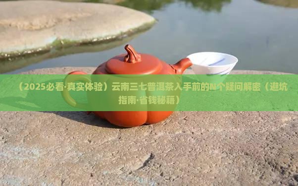 云南三七普洱茶