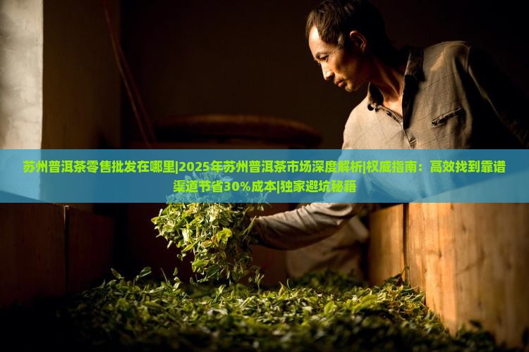 苏州普洱茶零售批发在哪里