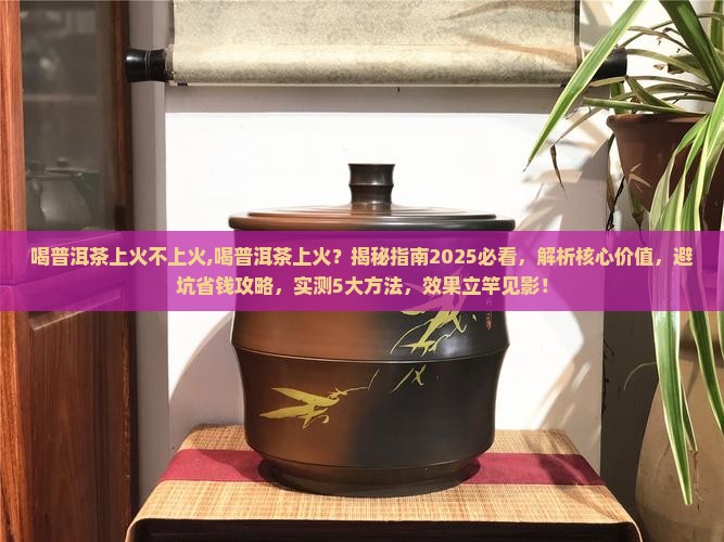 喝普洱茶上火不上火