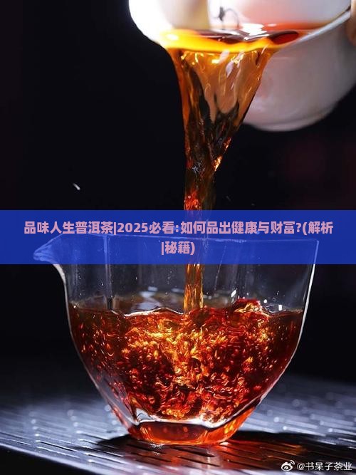 品味人生普洱茶