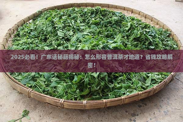 广东话怎么形容普洱茶