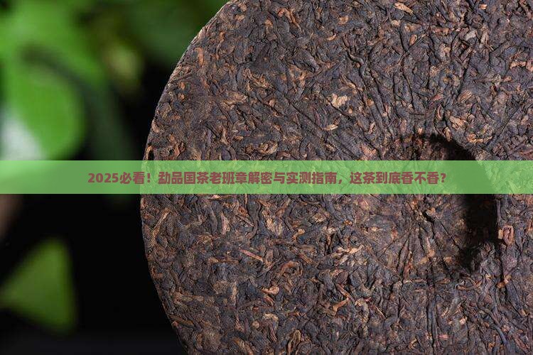 勐品国茶老班章