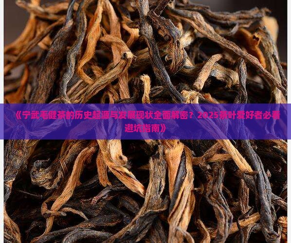 宁武毛健茶的历史