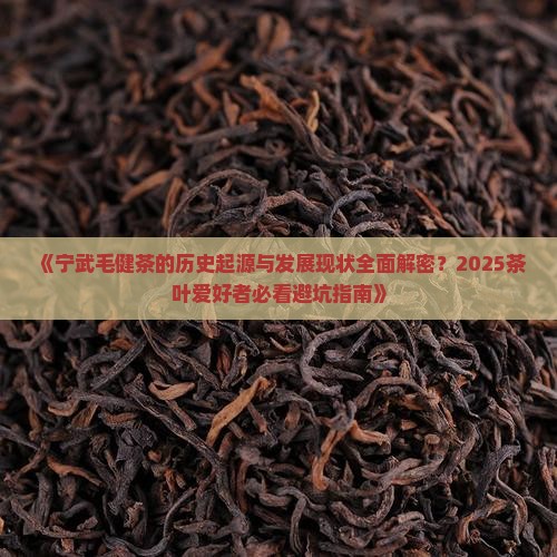 宁武毛健茶的历史