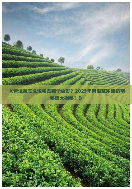 普洱茶怎么泡和煮哪个好