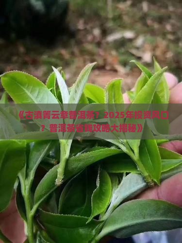 古滇箐云章普洱茶