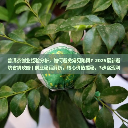 普洱茶创业经验分析