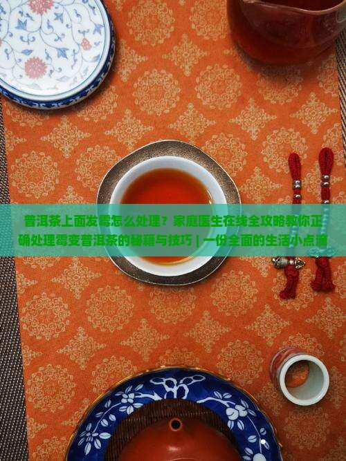 普洱茶上面有霉点怎么处理