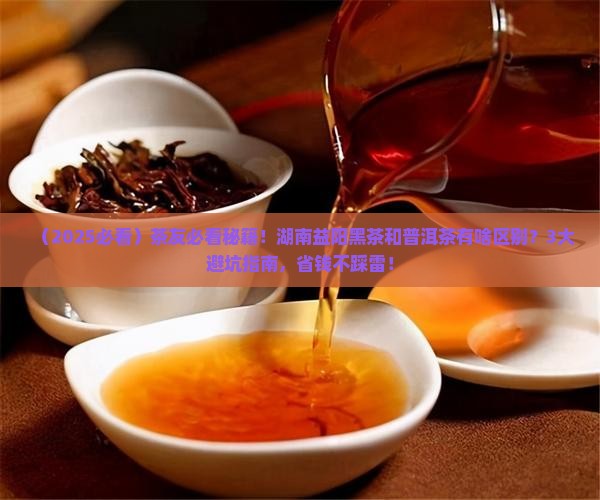 湖南益阳黑茶和普洱茶区别