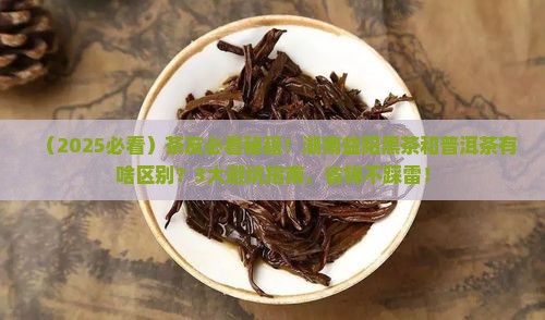 湖南益阳黑茶和普洱茶区别