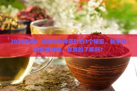 爷爷种的茶叶什么梗