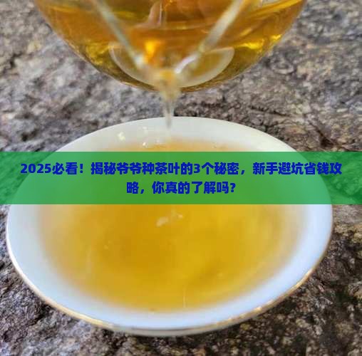 爷爷种的茶叶什么梗