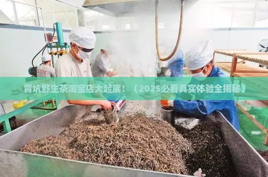 霄坑野生茶淘宝店