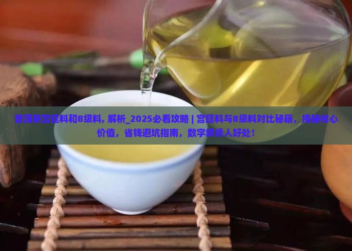 普洱茶宫廷料和8级料