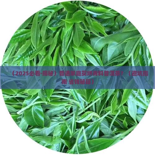 烘青料的普洱茶