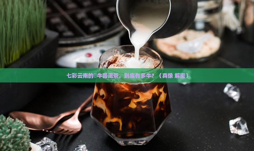 七彩云南犇牛普洱茶