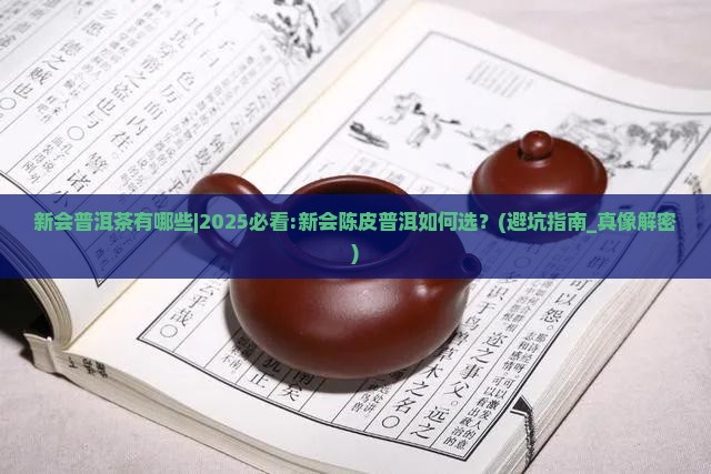 新会普洱茶有哪些