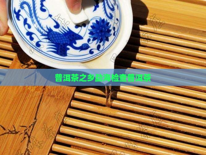 勐海检查普洱茶