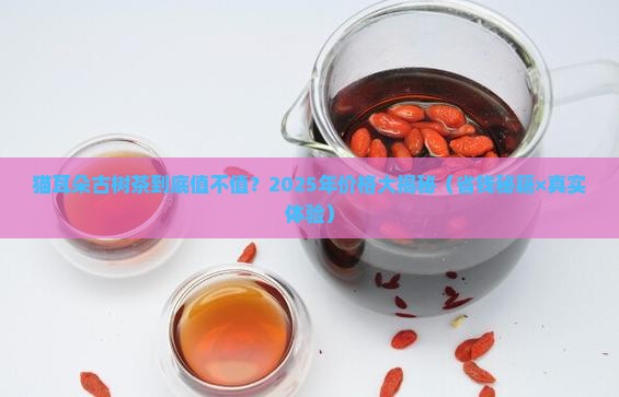 猫耳朵古树茶价格
