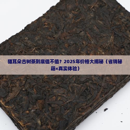 猫耳朵古树茶价格