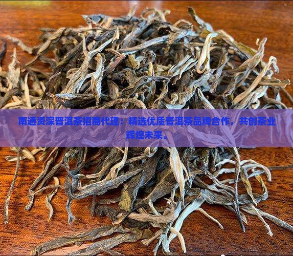 南通资深普洱茶招商代理