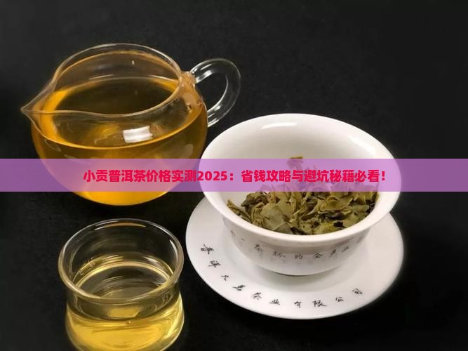 小贡普洱茶价格