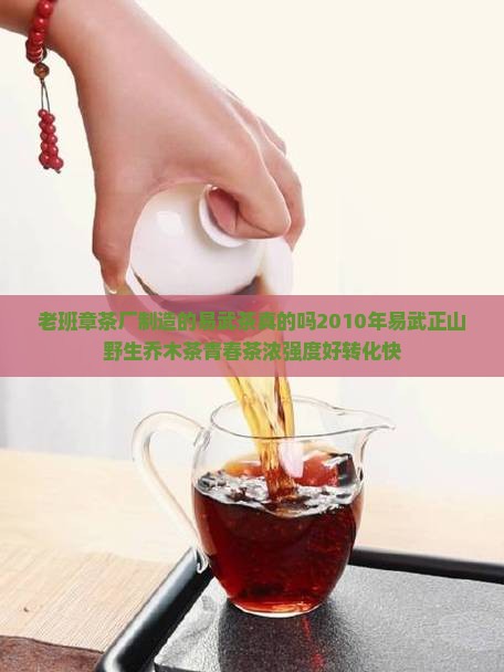 老班章茶厂制造的易武茶真的吗 老班章茶厂制造的易武茶真的吗