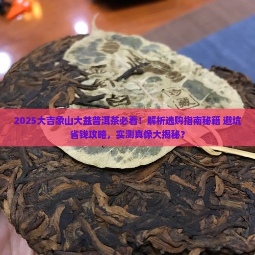 大吉象山大益普洱茶