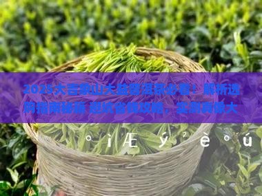 大吉象山大益普洱茶