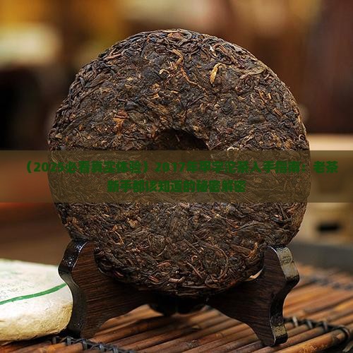 2017年甲字沱茶