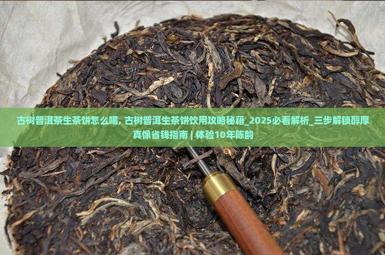 古树普洱茶生茶饼怎么喝